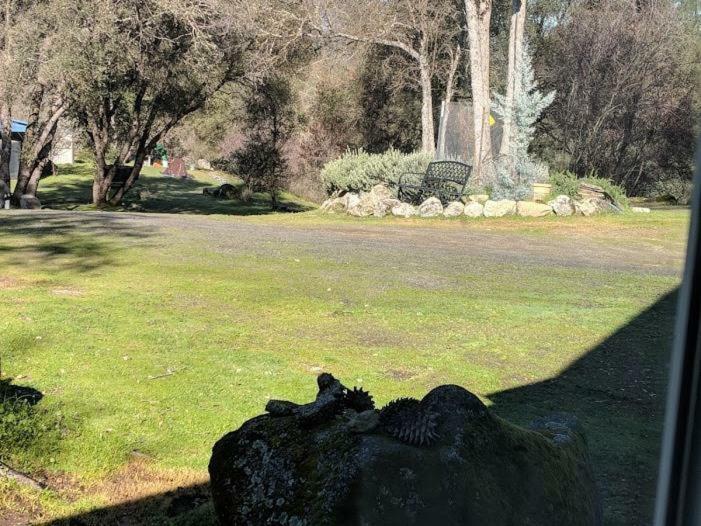 Yosemite Nights Bed & Breakfast Mariposa Bagian luar foto